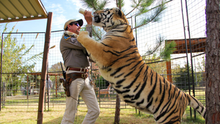 Netflix announces <i>Tiger King </i>after-show, hosted by Joel McHale